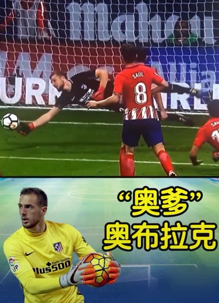 动告诉大家 动告诉大家