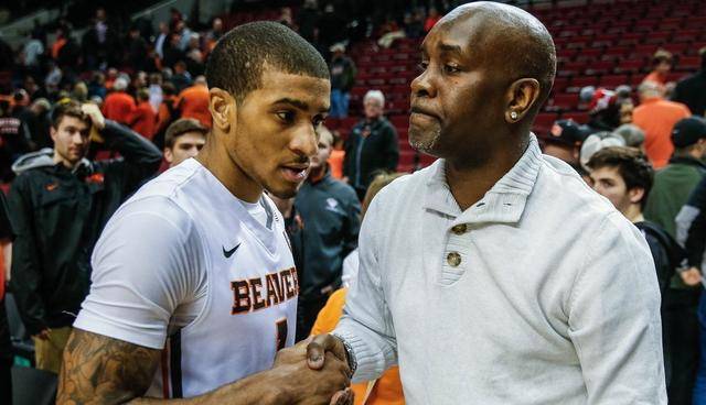 动态多变的 动态多变的