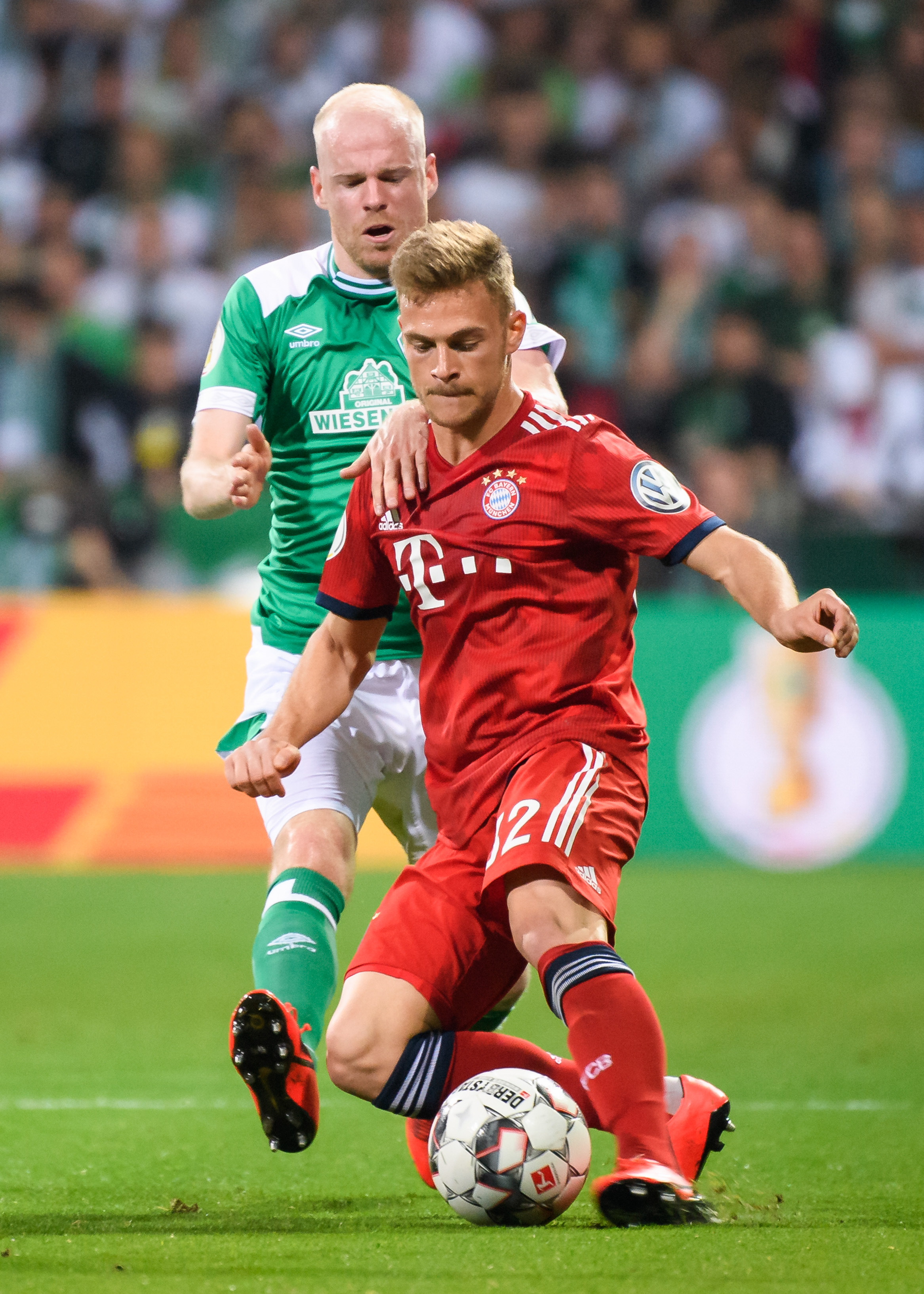 此役的胜利 此役的胜利