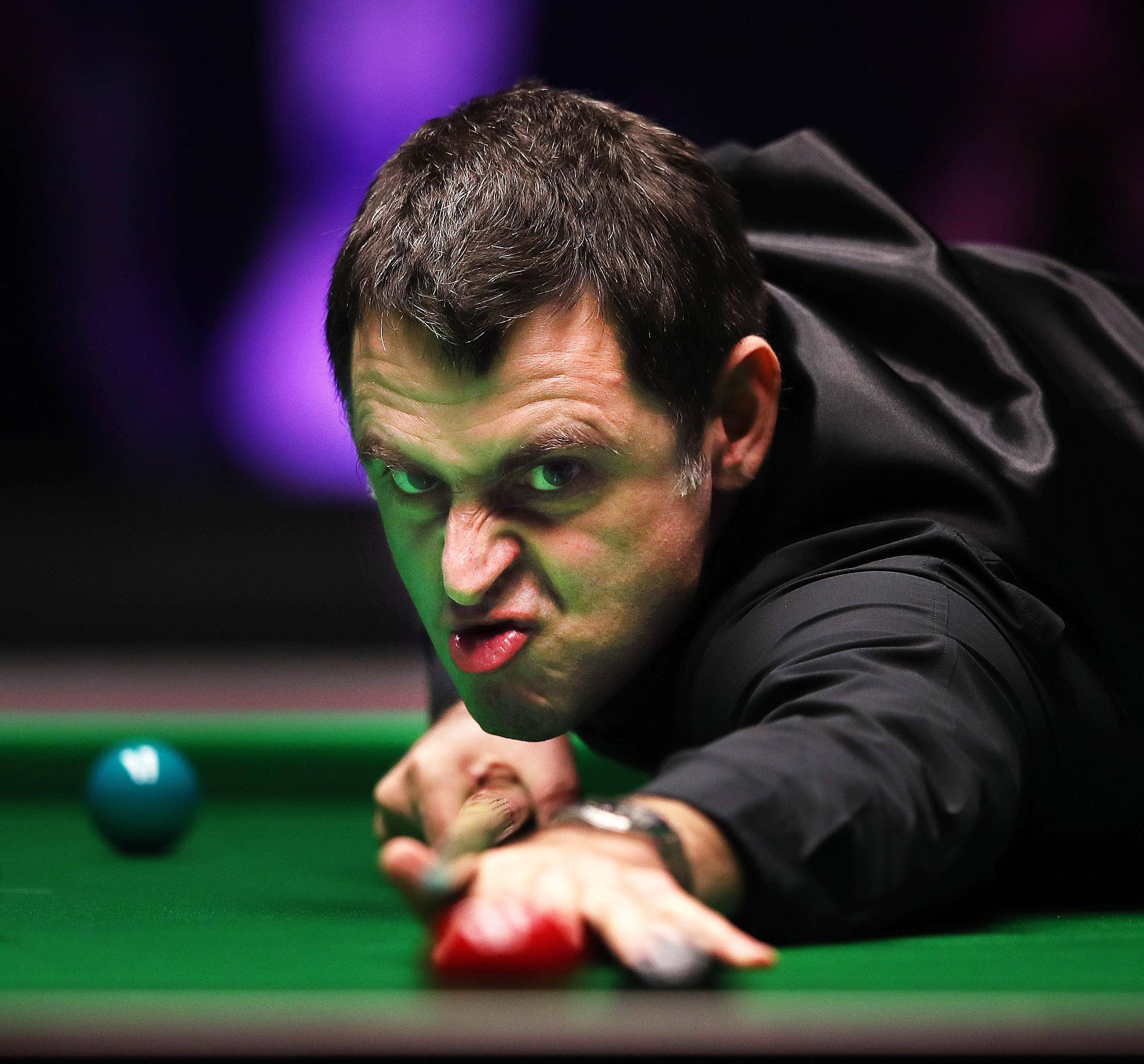 名人的打卡 名人的打卡